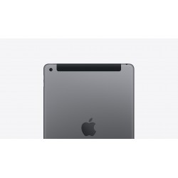 Apple iPad Pro 10.5 256Go 4G - Gris Sidéral - Débloqué (Reconditionné)