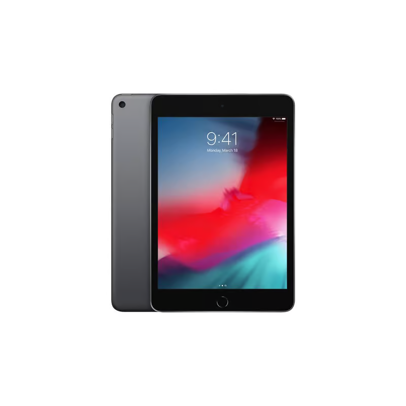 iPad mini (2019) 5e génération 64 Go - WiFi - Gris Sidéral