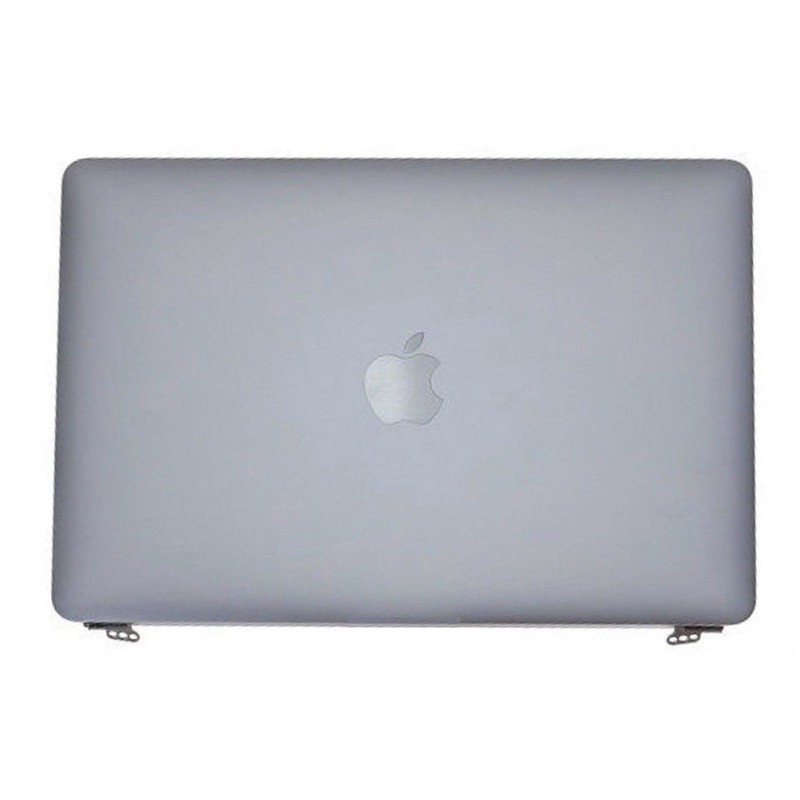 Ecran SAV Macbook PRO 2019 i5 Gris TBE